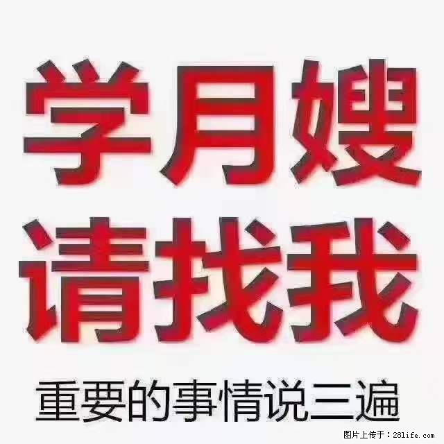 为什么要学习月嫂，育婴师？ - 新手上路 - 大同生活社区 - 大同28生活网 dt.28life.com