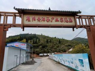 【灌阳县油茶产业示范区】一个有着充实的精神生活的人,对待身外之物自会有一种淡泊的态度 - 大同28生活网 dt.28life.com