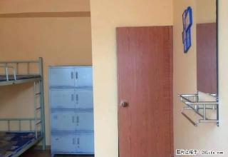 爱情公寓出租沃尔玛百盛尚都附近男女公寓房东包一切费用 - 大同28生活网 dt.28life.com