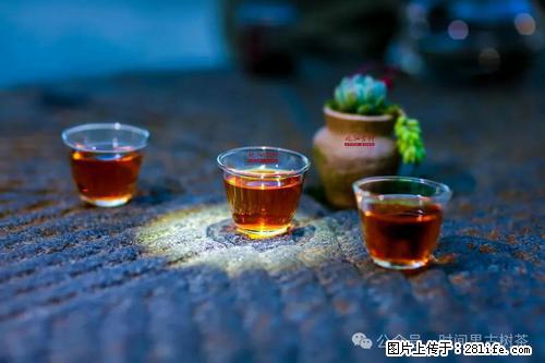 时间果百年古树2025年春红茶 - 购物交流 - 大同生活社区 - 大同28生活网 dt.28life.com