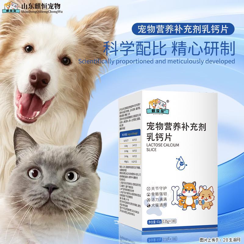 幼犬趴蹄、老狗腿僵别乱补！恒元星乳钙片，养宠家庭常年必备 - 其它 - 宠物信息 - 大同分类信息 - 大同28生活网 dt.28life.com