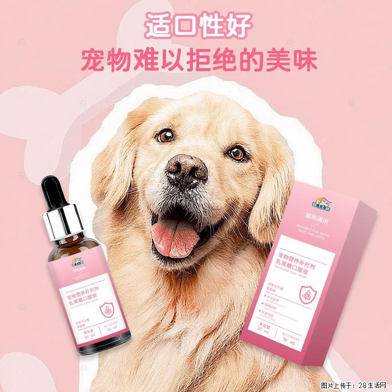 毛孩子便秘拉不出太遭罪！乳果糖口服液，温和通便不伤肠胃 - 其它 - 宠物信息 - 大同分类信息 - 大同28生活网 dt.28life.com