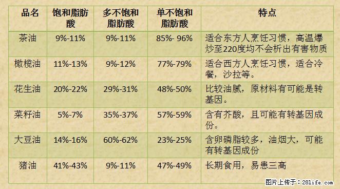 揭秘茶油的5大核心营养成分!被称为人体健康的“守护盾”! - 大同生活资讯 - 大同28生活网 dt.28life.com