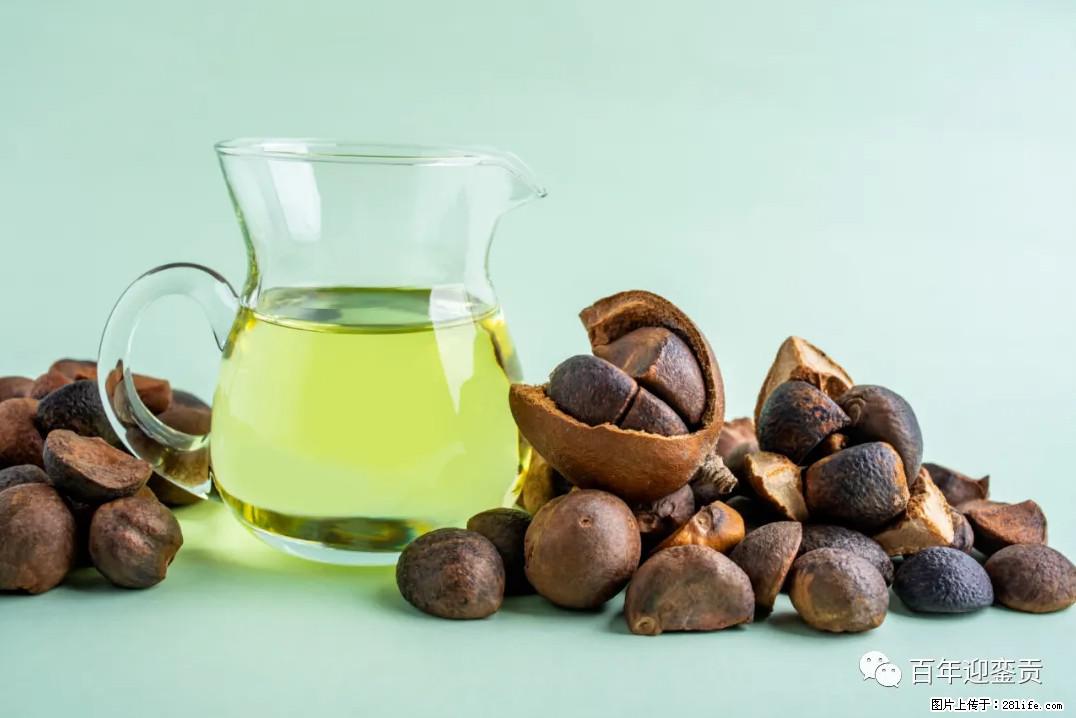世界没有真相，只有认知，最好的食用油是中国的山茶油！ - 大同生活资讯 - 大同28生活网 dt.28life.com