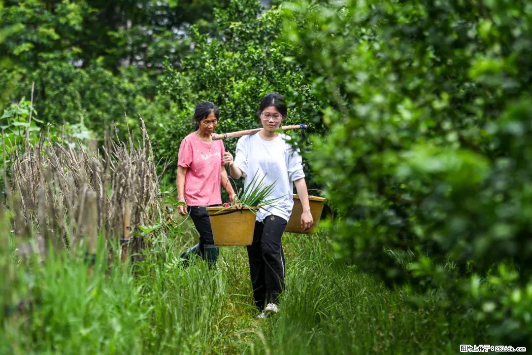 全网追的“扁担女孩”，找了一份暑假工，时薪12元 - 大同生活资讯 - 大同28生活网 dt.28life.com
