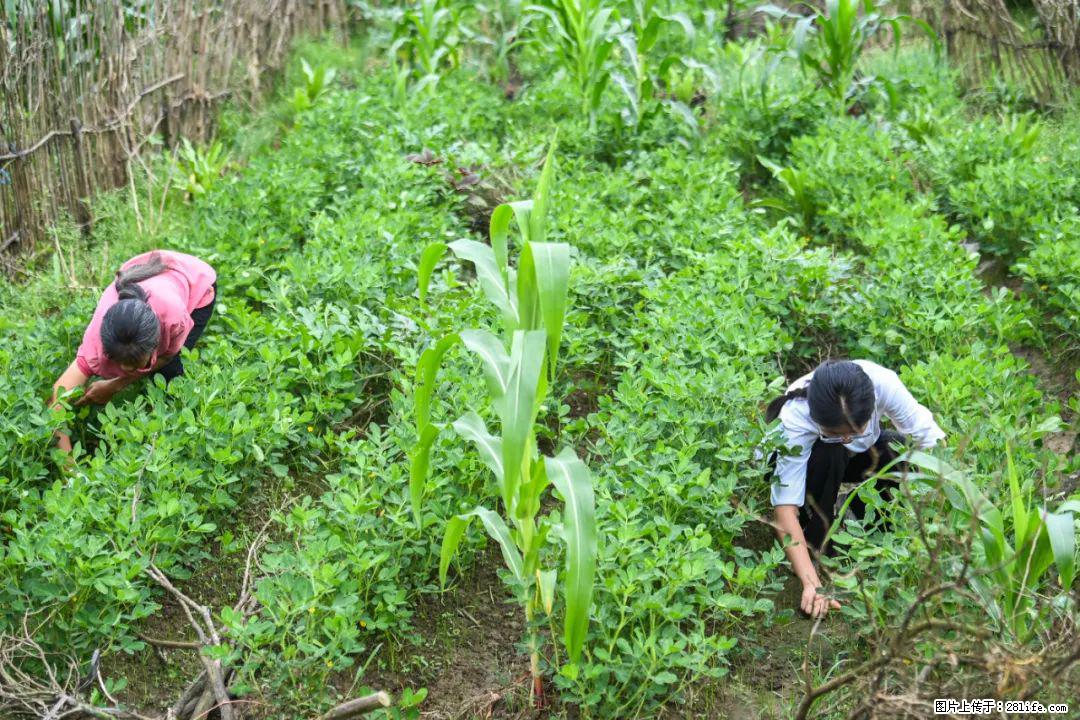 全网追的“扁担女孩”，找了一份暑假工，时薪12元 - 大同生活资讯 - 大同28生活网 dt.28life.com