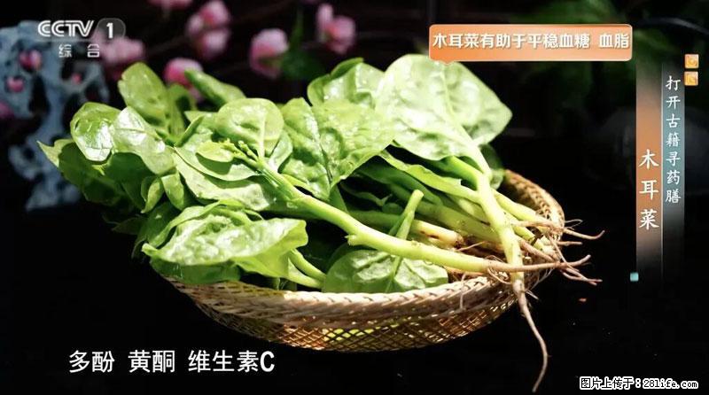 比牛奶补钙还厉害！凉血解毒、稳血糖...这菜冬天必吃，很多人却当草 - 大同生活资讯 - 大同28生活网 dt.28life.com