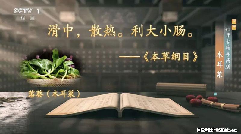 比牛奶补钙还厉害！凉血解毒、稳血糖...这菜冬天必吃，很多人却当草 - 大同生活资讯 - 大同28生活网 dt.28life.com