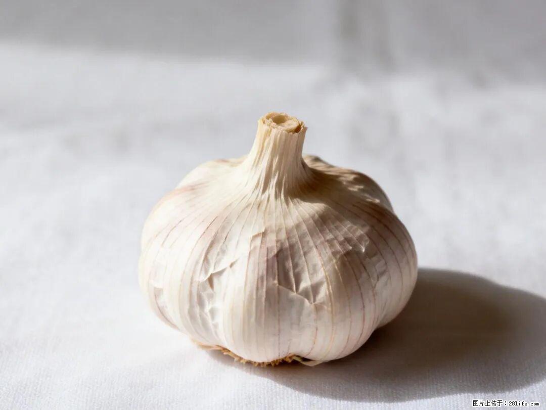关于大蒜，除了“天然抗生素”，这4个谣言更该警惕! - 大同生活资讯 - 大同28生活网 dt.28life.com