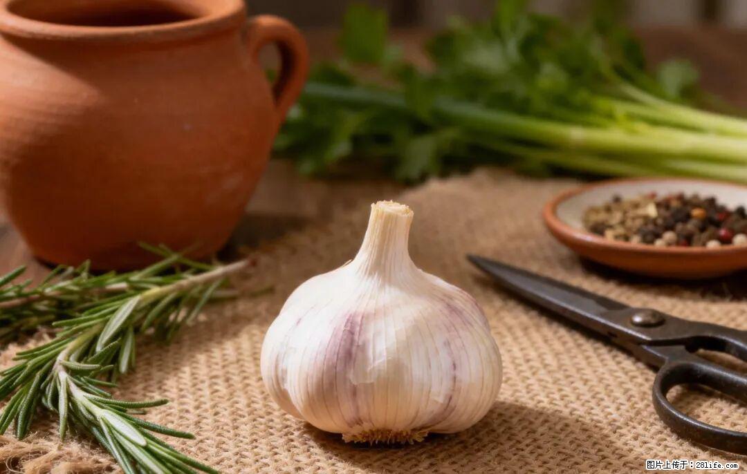 关于大蒜，除了“天然抗生素”，这4个谣言更该警惕! - 大同生活资讯 - 大同28生活网 dt.28life.com