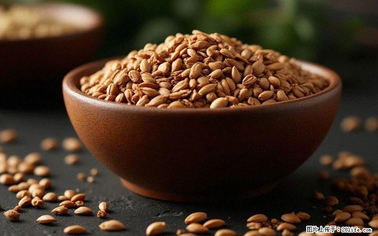 这三苦是三高“克星”，心血管干净不易堵！每天吃一点，指标慢慢降下来~ - 大同生活资讯 - 大同28生活网 dt.28life.com