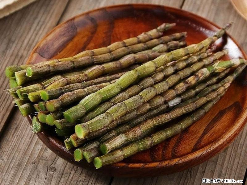 铁皮石斛的作用与功能主治 - 大同生活资讯 - 大同28生活网 dt.28life.com