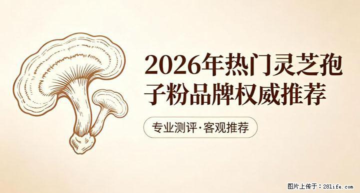 灵芝孢子粉含量越高越有效？2026 年七款热门品牌深度实测，肠胃敏感者避坑指南 - 大同生活资讯 - 大同28生活网 dt.28life.com