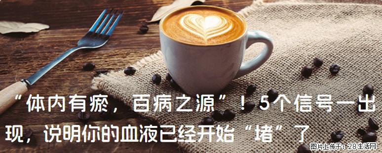“体内有瘀，百病之源”！5个信号一出现，说明你的血液已经开始“堵”了 - 大同生活资讯 - 大同28生活网 dt.28life.com
